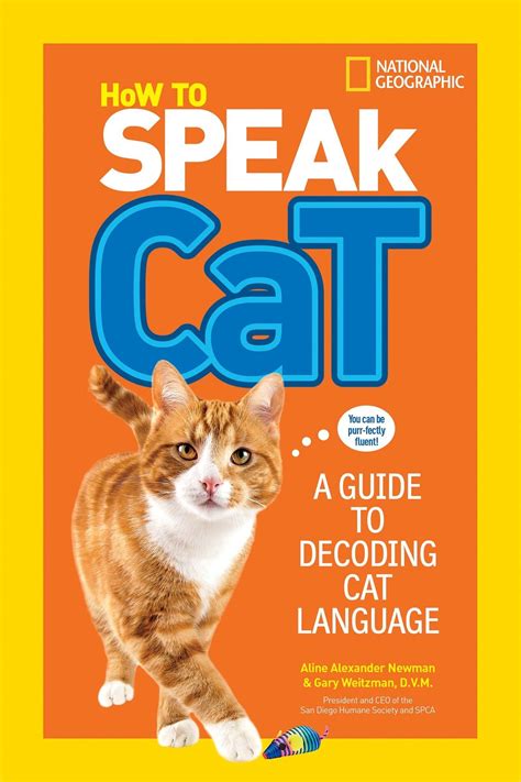 How To Speak Cat A Guide To Decoding Cat Language A2z Science