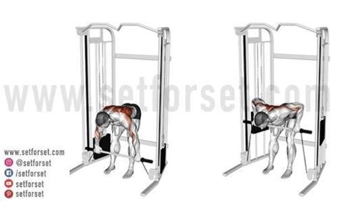 Using A Cable Machine For Back Exercises Can Give You Some Amazing