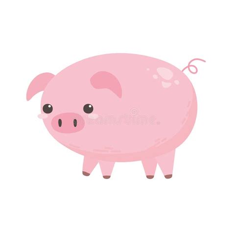Dibujos Animados De Animales De Granja De Cerdos Diseño De Fondo Blanco
