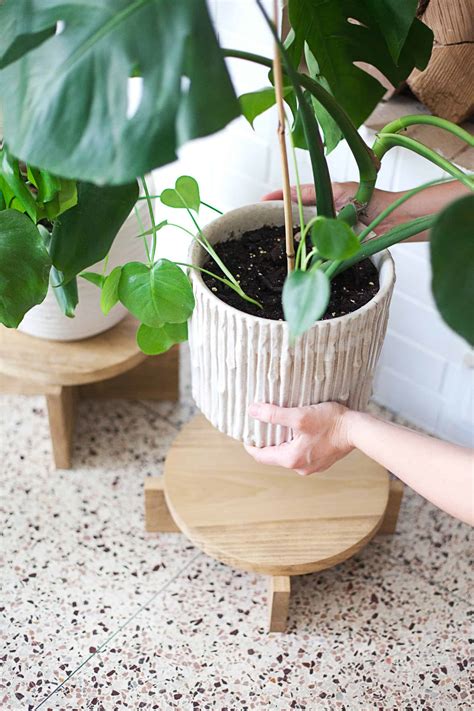 Adjustable plant stand, metal plant stand fits up 9 to 15 inches, mid century modern plant stand display rack, indoor & outdoor flower potted plant holder, plant and pot not included, black. DIY Modern Wood Plant Stands - A Beautiful Mess