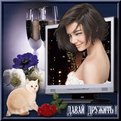 *** «не узнавай друга в три дня, узнавай в три года» (русская пословица). Будем дружить? - Для друзей