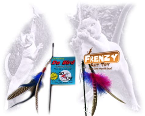 They are interactive toys to keep your cat exercised and fit. Da Bird and Frenzy Cat Toy UK