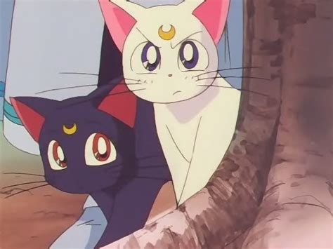 Luna And Artemis Sailor Moon Sailor Moon Screencaps Sailor Moon Cat