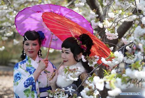 Annual Cherry Blossom Festival Attracts People In New York China Org Cn