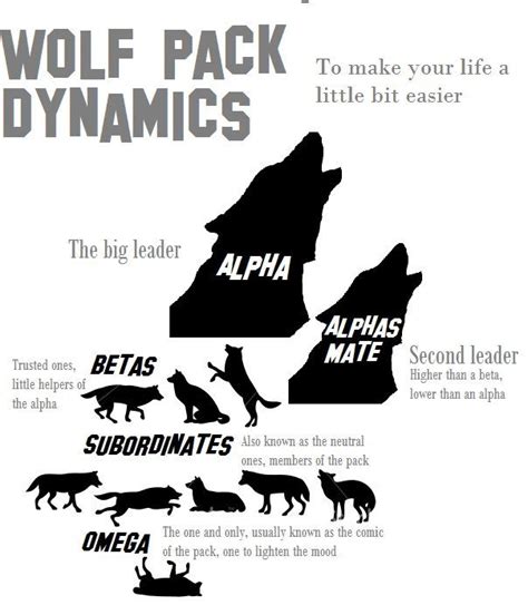 Alpha Beta Omega Wolf Pack Dynamics Bettakus