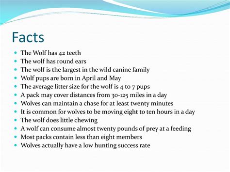 Ppt The Gray Wolf Facts Powerpoint Presentation Free Download Id