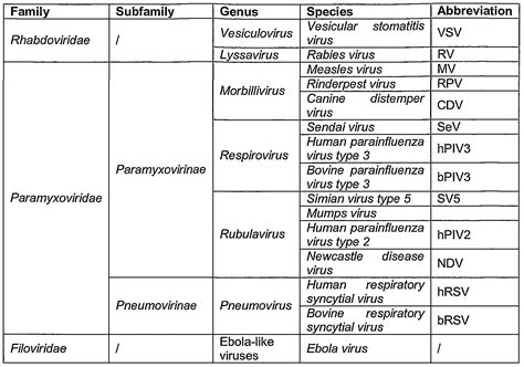 Brosh compared the mrna vaccine to traditional vaccines, such as those for influenza, which use an if you put mrna on the table, for example, in a minute there will not be any mrna leftover. Patent EP2091962A2 - Cells and methodology to generate non ...