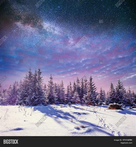 Winter Starry Night Sky