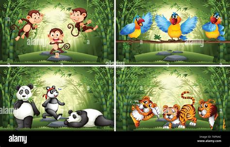 Set Of Animal In Bamboo Forest Illustration Stock Vector Image And Art