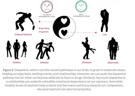 The Science Behind Falling In Love