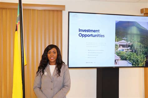 Nipa Launches New Interactive Website To Attract Investment To Nevis