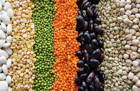 10 Beans And Legumes High In Protein