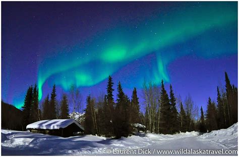 2022 Alaska Northern Lights Tour Wild Alaska Travel
