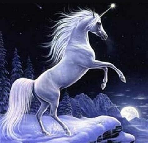 Inframundo El Unicornio Un Mito Que Se Pierde En La Noche De Los Tiempos