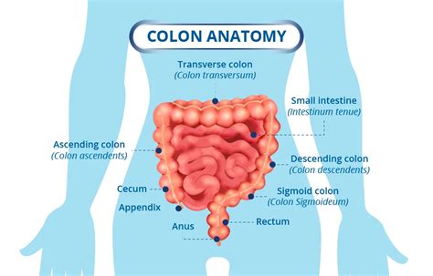 Colorectal Cancer Colon Cancer Signs Diagnosis And Treatment In Singapore Pcc Vietnam