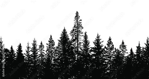 Abstract Background Forest Wilderness Landscape Pine Tree Silhouettes