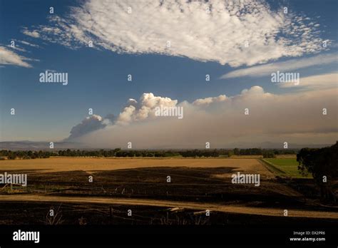 Pyrocumulus Smoke Cloud Rising From Bushfire Australia Stock Photo Alamy