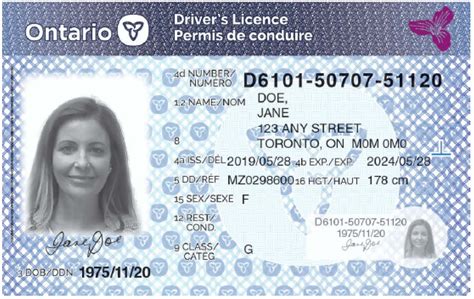 Heavy Equipment Inc Driver License Number Ontario