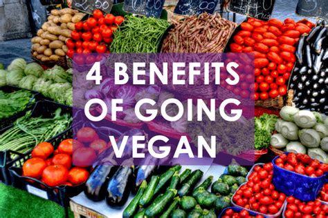 4 Benefits Of Going Vegan The Vegan Link 4 Benefits Of Going Vegan