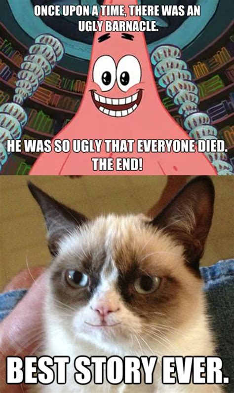 Angry Cat Meme Facebook Image Memes At