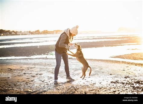 Hund Am Strand Fotos Und Bildmaterial In Hoher Auflösung Alamy