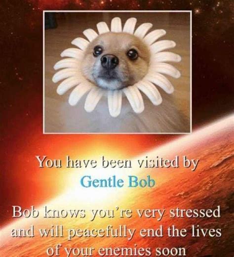 You Have Been Visited By Gentle Bob Meme By Splinter99 Memedroid