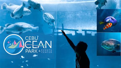 Cebu Ocean Park The Biggest Oceanarium Sa Cebu Youtube