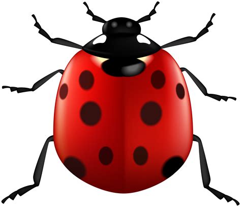 Lady Bug Png Clipart Gallery Yopriceville High Quality Images And