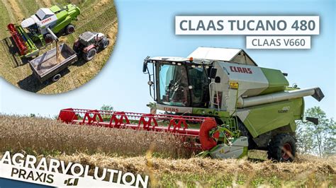Claas Tucano 480 V660 • Harvesting Wheat Agrarvolution Praxis Youtube