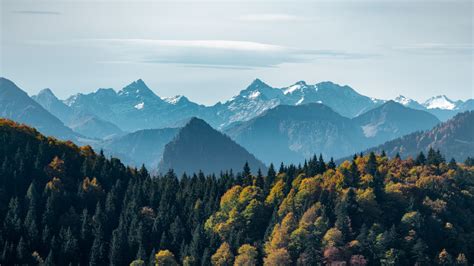 Download 1366x768 Wallpaper Adorable View Mountains And Green Trees