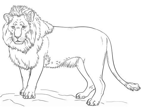 Standing Lion Coloring Page Free Printable Coloring Pages For Kids