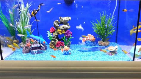These include sunken vessels, treasure chests, mermaids and pirates. Brilliant Fish Tank For Kids - YouTube