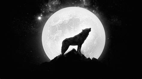Wolf Howling Full Moon Wallpapers Hd Desktop And Mobile Backgrounds