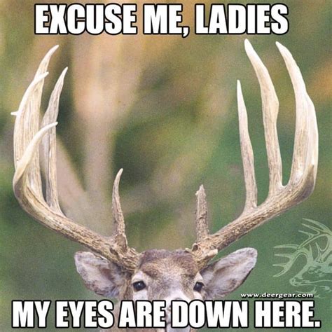 The Best Deer Hunting Memes So Far Sayingimages Com