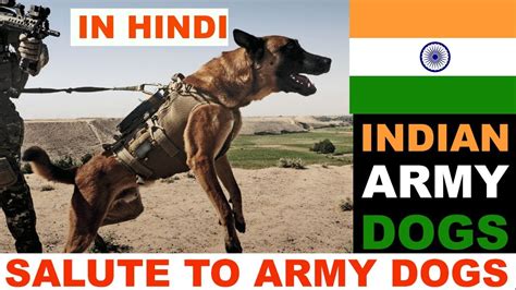 Many people don't know the importance, and i am sure that there are a lot of new army's out there that might want to know about it, its importance and what special place it has in the. Indian Army Dogs In Hindi : Happy Republic Day : The ...