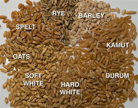 This is a list of notable baked or steamed bread varieties. Wheat Berries (and some close relatives) | Clockwise from ...