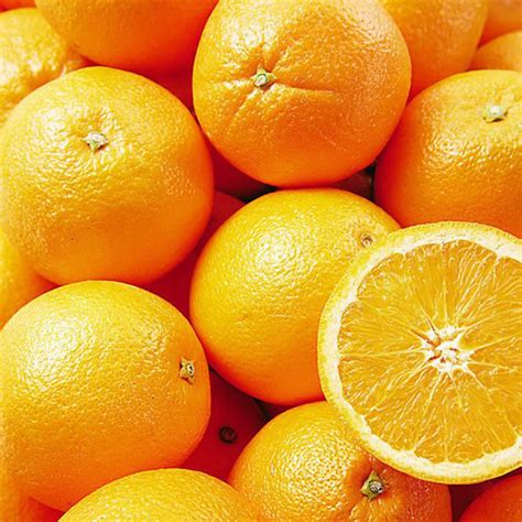 Professional Platform Of Fresh And Delicious Maltese Blood Orange