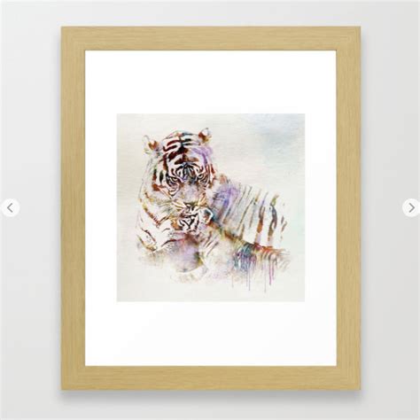 Tigress With Cub Framed Art Print If You Want To Purchase Flickr