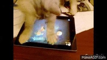 Busters GIFs Find Share On GIPHY