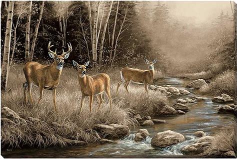 Whitetail Deer Canvas Art Wrapped October Mist Wild Wings