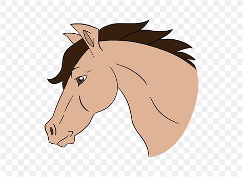 You are trying to discover the various. Mustang Cob How To Draw A Horse Drawing Sketch, PNG, 678x600px, Mustang, Animated Cartoon, Art ...
