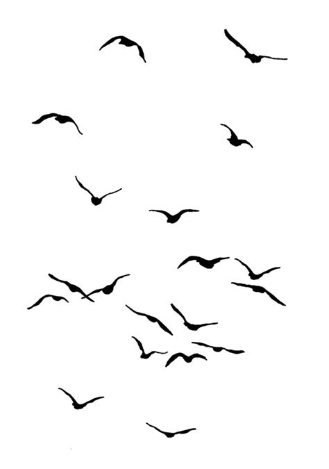 Bird Flying Simple Drawing Draw Easy