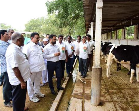 Dairy Welfare Schemes For Animals Karimnagar Dairy