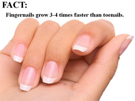 Whats Up With That Your Fingernails Grow Way Faster Than Your