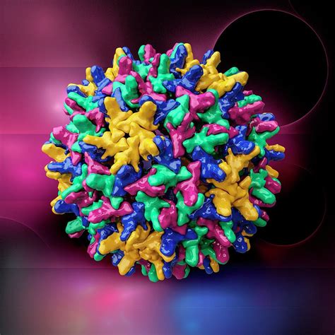 Hepatitis B Virus Capsid Photograph By Laguna Design Science Photo Library Fine Art America