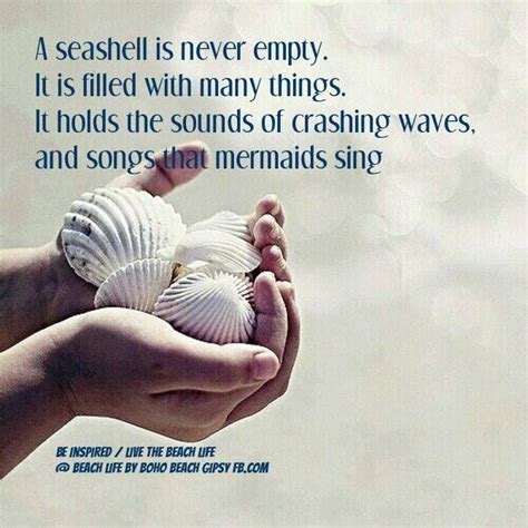 A Seashell Is Never Empty It Is Filled With Many Things It Holds The