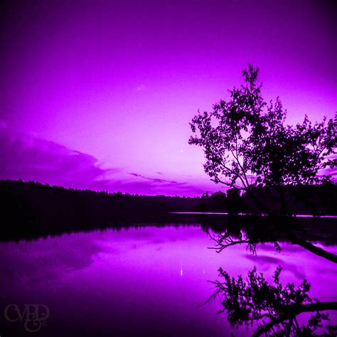 Purple Sunset Reflection Photograph By Megan Dotter