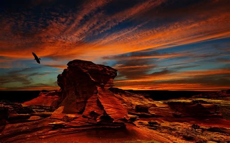 Wallpaper Sunlight Landscape Colorful Birds Sunset Sea Rock Nature Reflection Sky