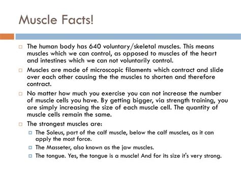Facts About Muscles