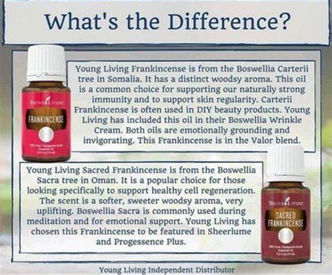 Find great deals on ebay for young living sacred frankincense. Frankincense vs. Sacred Frankincense | Frankincense ...
